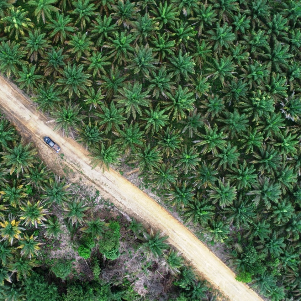 pemetaan perkebunan kelapa sawit menggunakna drone